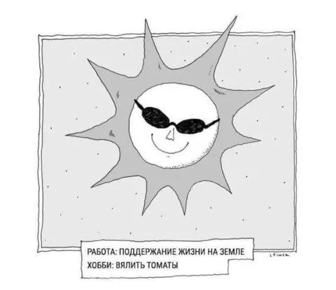Солнце валит томаты