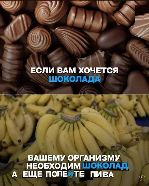 Организму необходим шоколад
