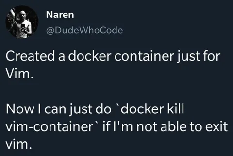 Docker Container for Vim
