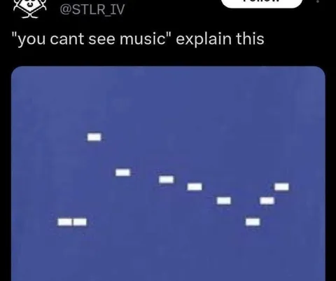 You Cant See Music