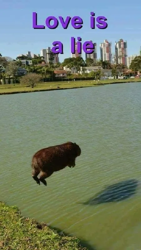 Love Is a Lie Jump
