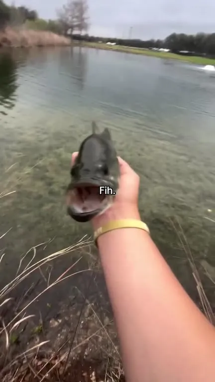 Fish Says Fih