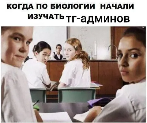 Когда узнали про ТГ-админов