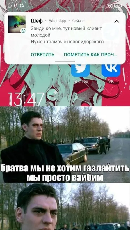 Мы просто вайбим