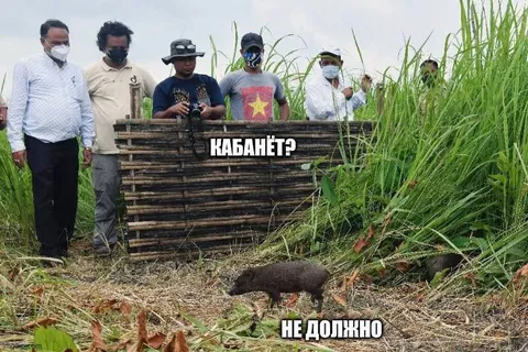 Кабанёт? Не должно