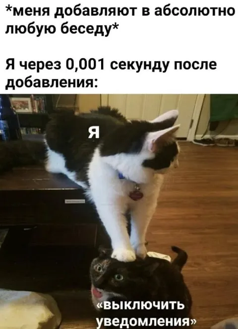Выключить уведомления в беседе