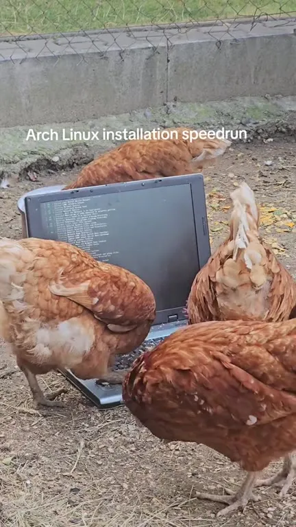 Arch Linux Installation Speedrun