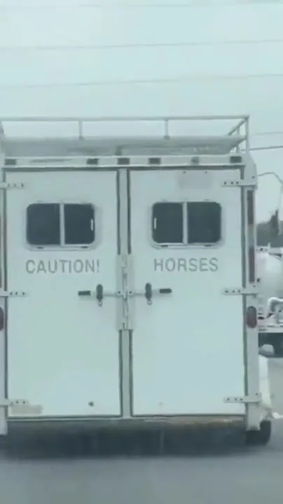 Caution Horses Truck Surprise