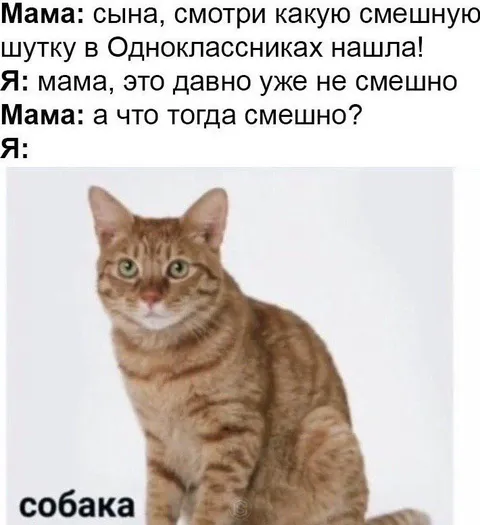 Мама нашла смешную шутку