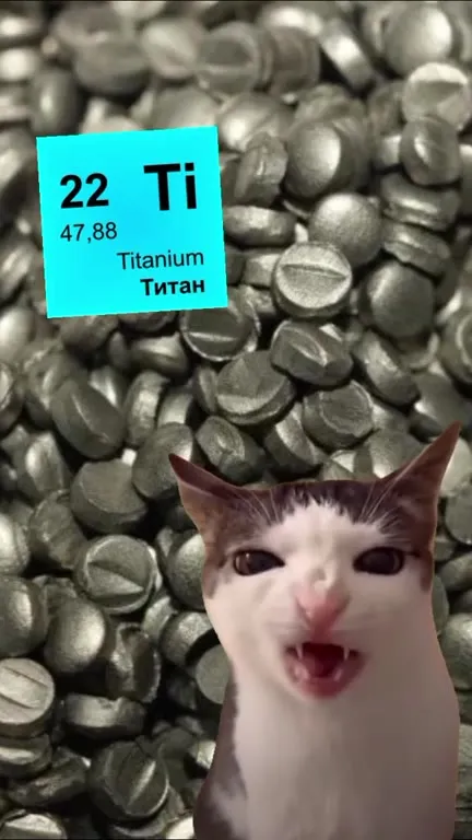 Кот жует титан