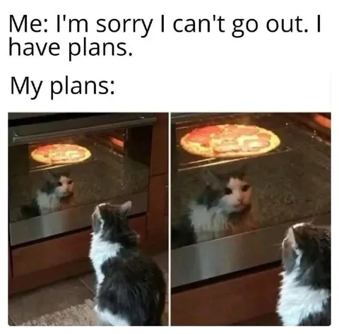 Cat Watching Pizza Bake