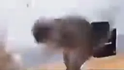 Кот танцует Макарену в драке