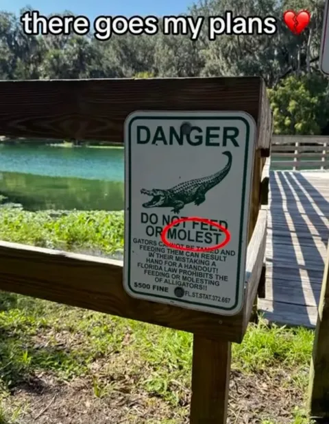 There Goes My Plans Alligator Sign