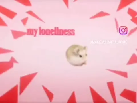 Hamster Loneliness Lyric Video