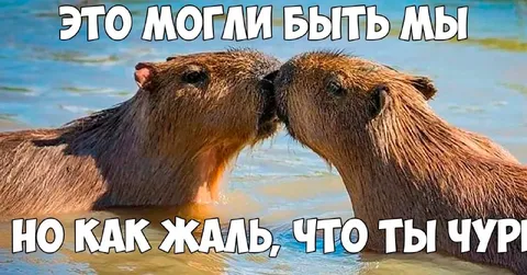 Могли быть мы