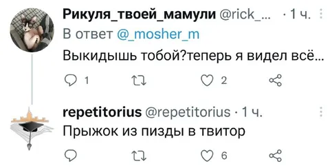 Прыжок из пизды в твитор