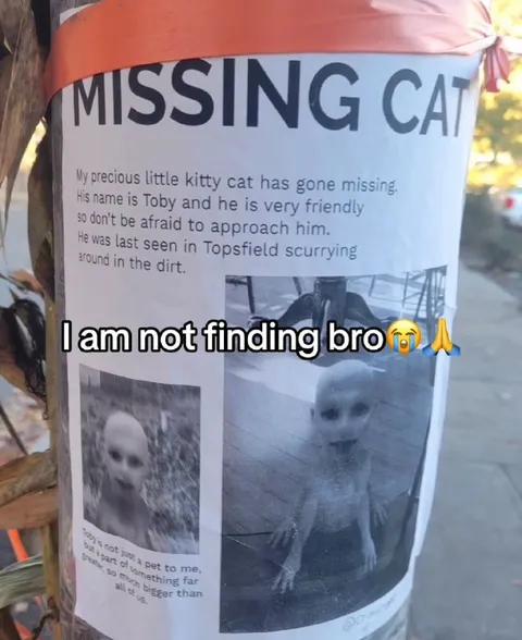 Missing Cat Is Actually an Alien