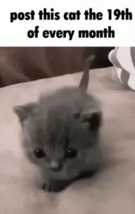 Post This Cat Every Month