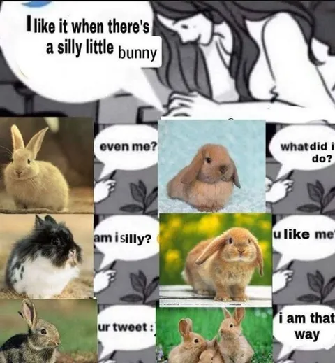 Silly Little Bunny Collage