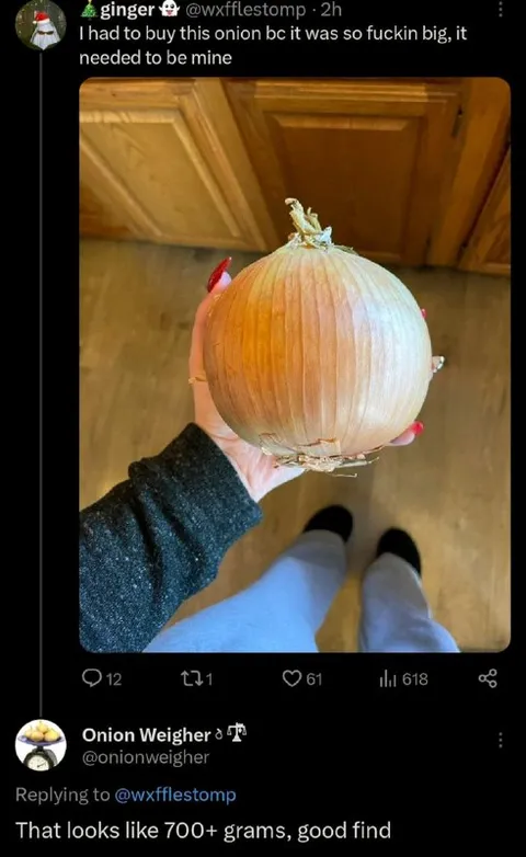 The Giant Onion Purchase
