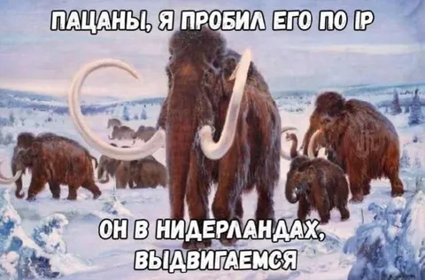 Мамонты выдвигаются в Нидерланды