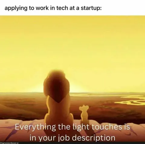 Startup Job Description Meme