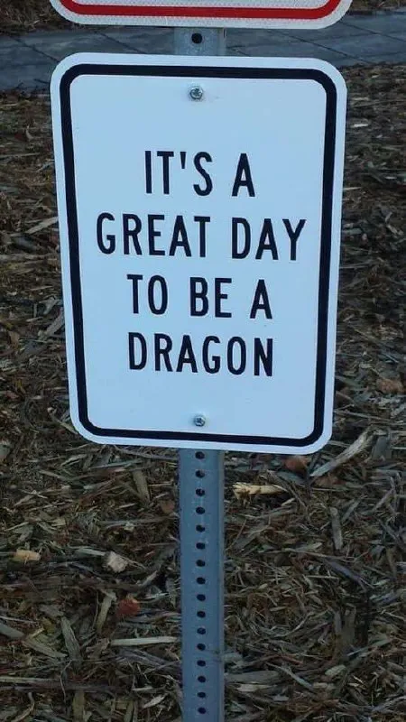 It’s a Great Day to Be a Dragon