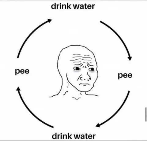 Drink Water Pee Cycle