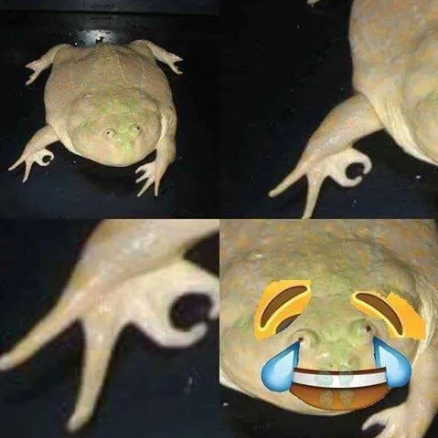 Лягушка с закрученными пальцами