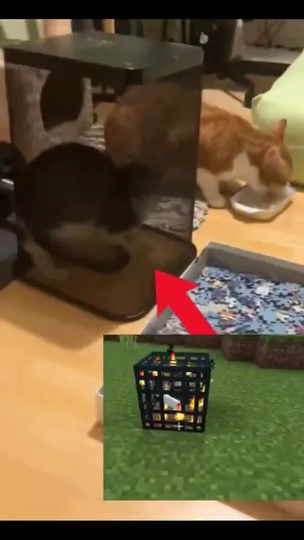 Кот в клетке Minecraft