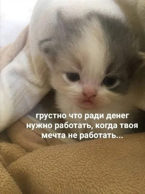 Когда мечта — не работать