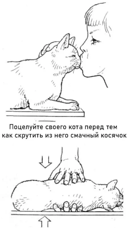 Поцелуй кота перед косячком