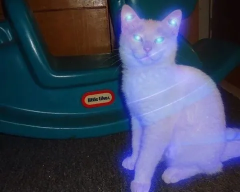 Сияющий кот с лазерными глазами