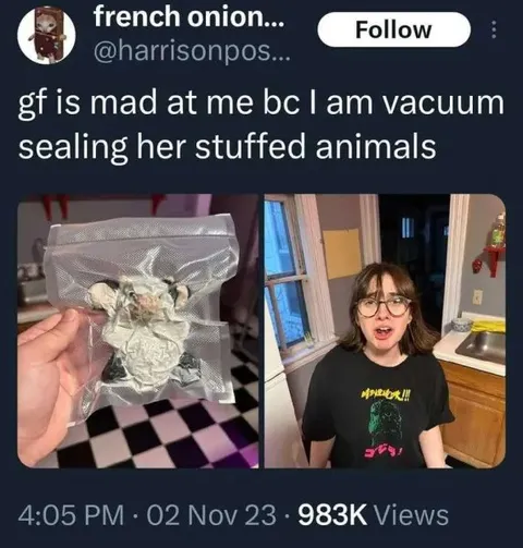 Vacuum Sealing Her Stuffed Animals