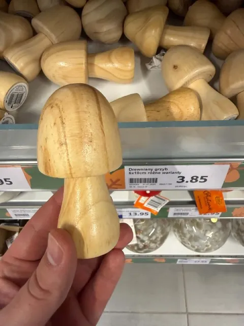 Drewniany grzyb z półki