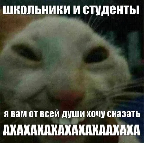 Школьники и студенты смеются