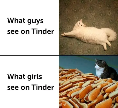 What Guys and Girls See on Tinder