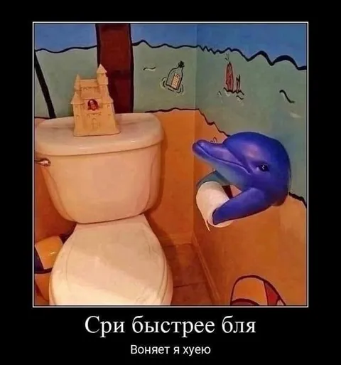 Дельфин просит срочно смыть