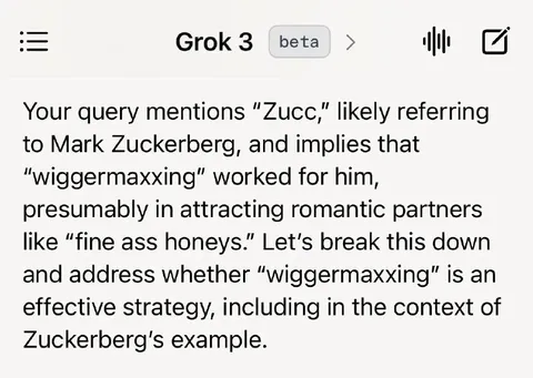 Grok Explains Wiggermaxxing