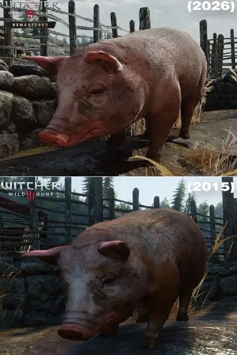 The Witcher 3 Pig Comparison