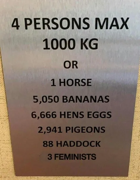 Four Persons Max, One Horse