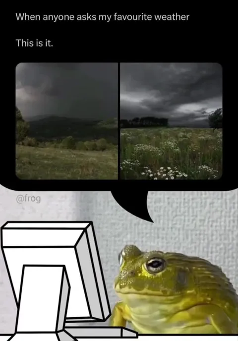 Favourite Stormy Weather