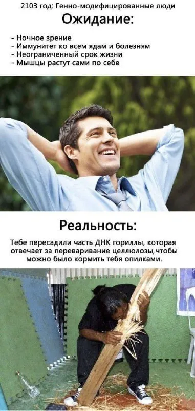 Генно-модифицированные люди: ожидание и реальность