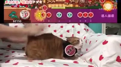 Кот играет в ритм-игру
