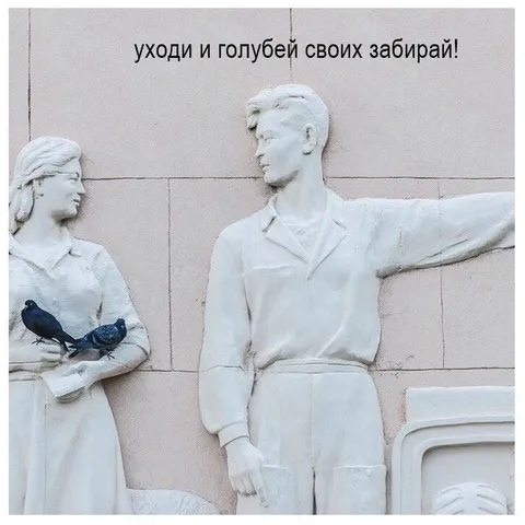 Уходи и голубей забирай