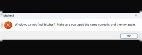 Windows Cannot Find Bitches