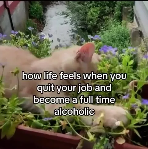 Quit Your Job, Become an Alcoholic