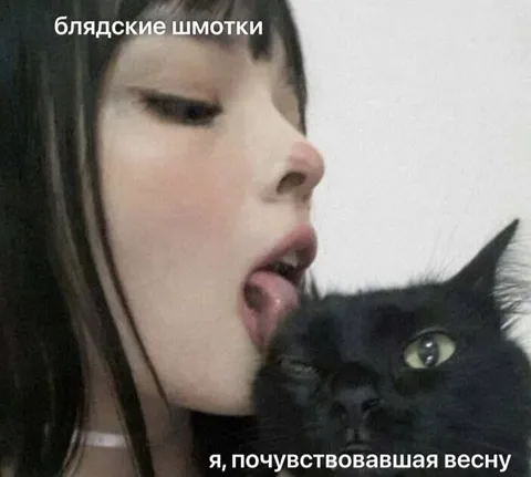 Почувствовавшая весну