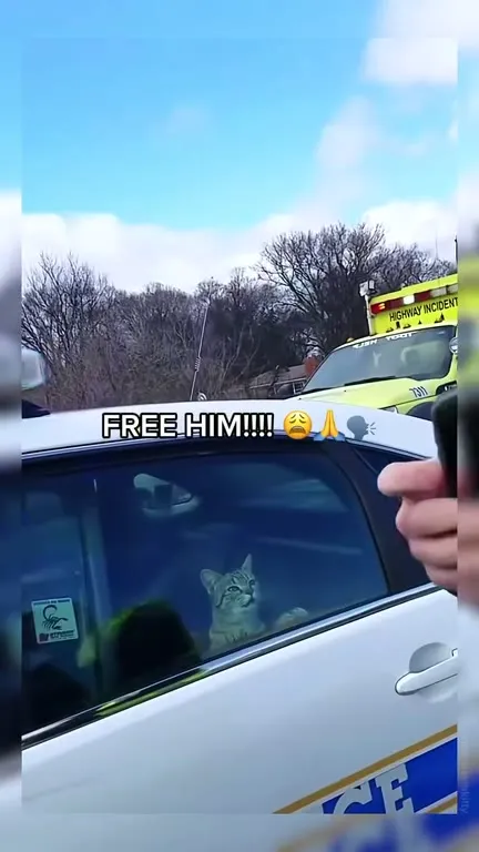 Free the Police Cat