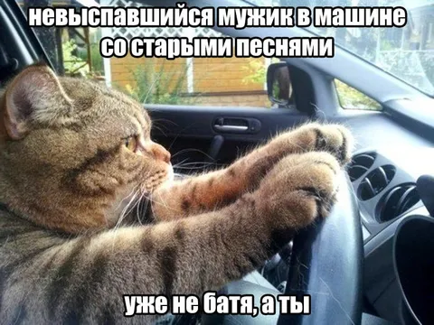 Невыспавшийся мужик за рулём